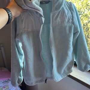 The North Face Soft Blue Fleece Hoodie